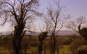 Woodview House Bed And Breakfast