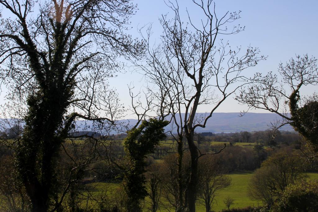 Woodview House Bed And Breakfast Ballinrobe Room photo